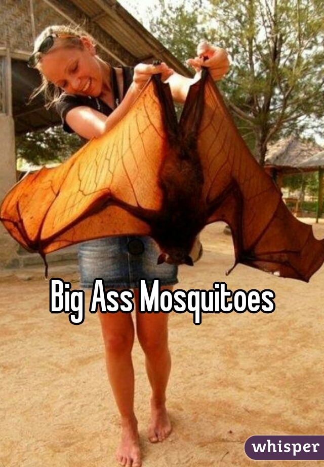 Big Ass Mosquitoes