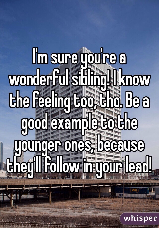 I'm sure you're a wonderful sibling! I know the feeling too, tho. Be a good example to the younger ones, because they'll follow in your lead! 
