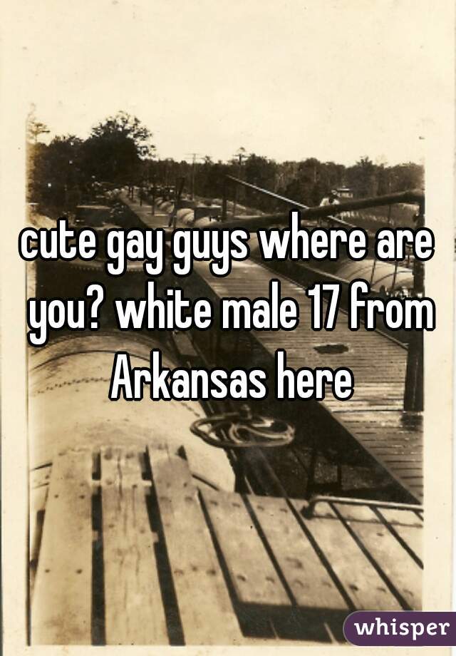 cute gay guys where are you? white male 17 from Arkansas here