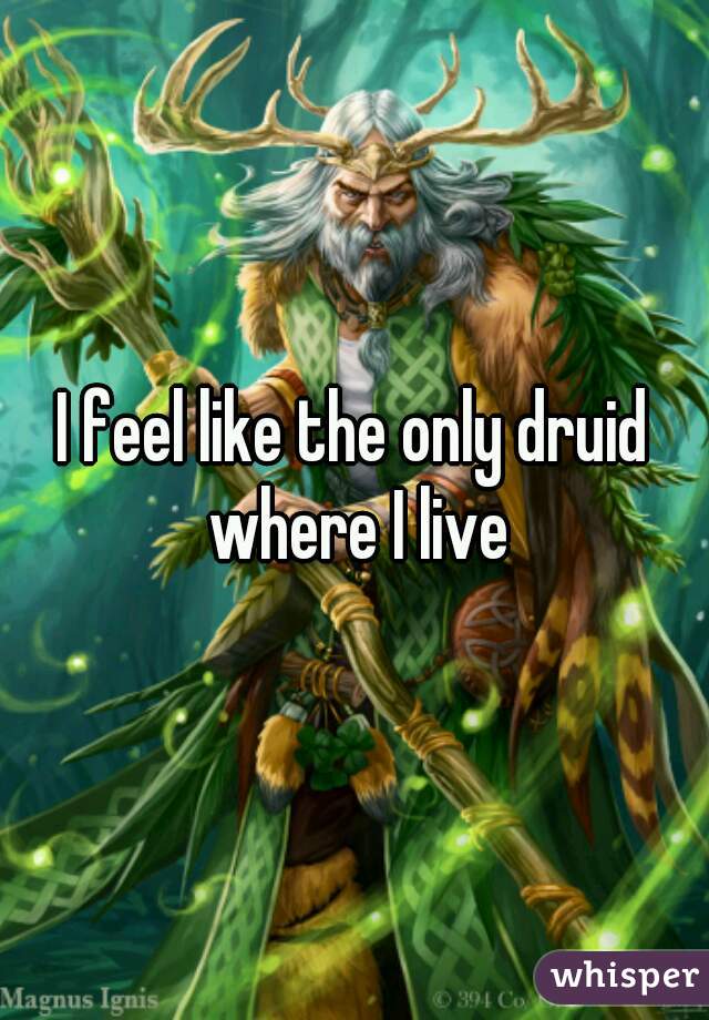 I feel like the only druid where I live