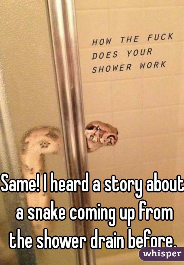 Same! I heard a story about a snake coming up from the shower drain before. 