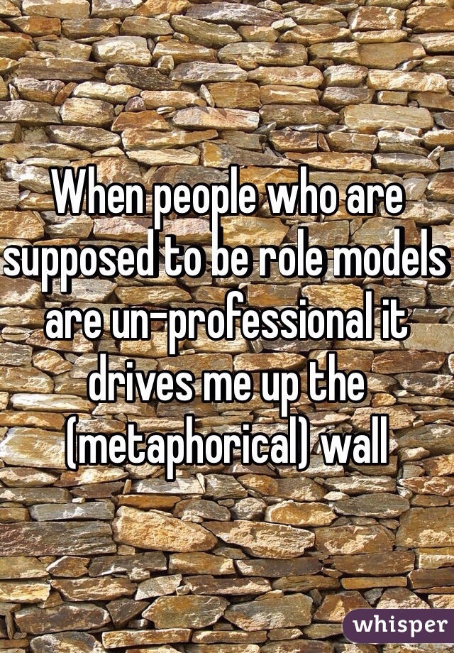 When people who are supposed to be role models are un-professional it drives me up the (metaphorical) wall