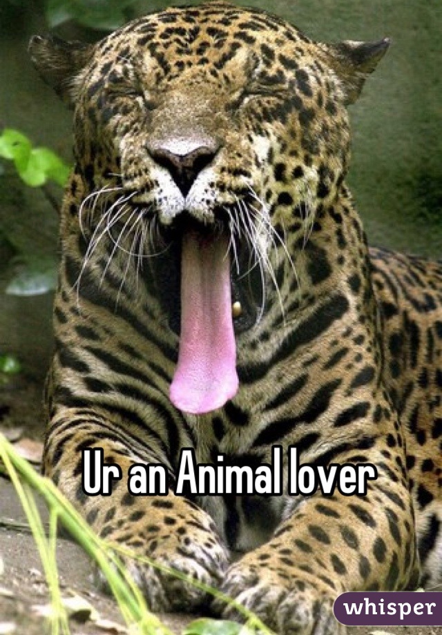 Ur an Animal lover 