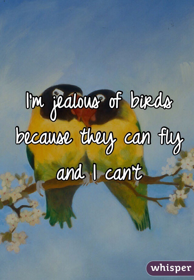 I'm jealous of birds because they can fly and I can't