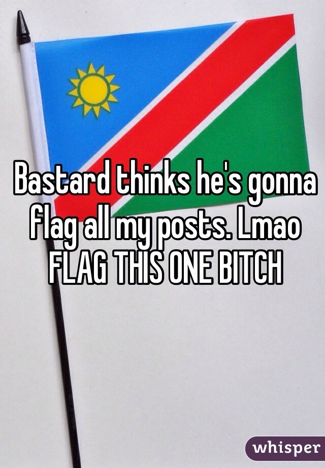 Bastard thinks he's gonna flag all my posts. Lmao FLAG THIS ONE BITCH 