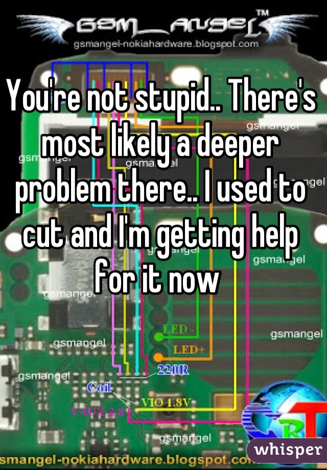 You're not stupid.. There's most likely a deeper problem there.. I used to cut and I'm getting help for it now 