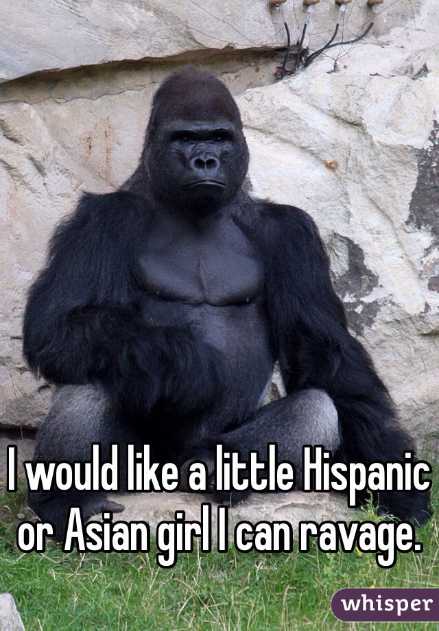 I would like a little Hispanic or Asian girl I can ravage.