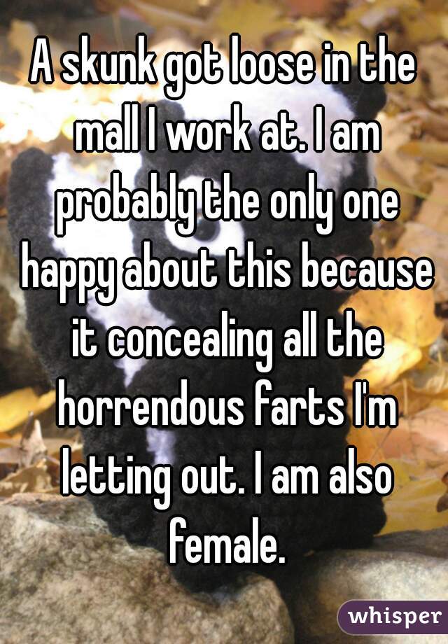 A skunk got loose in the mall I work at. I am probably the only one happy about this because it concealing all the horrendous farts I'm letting out. I am also female.