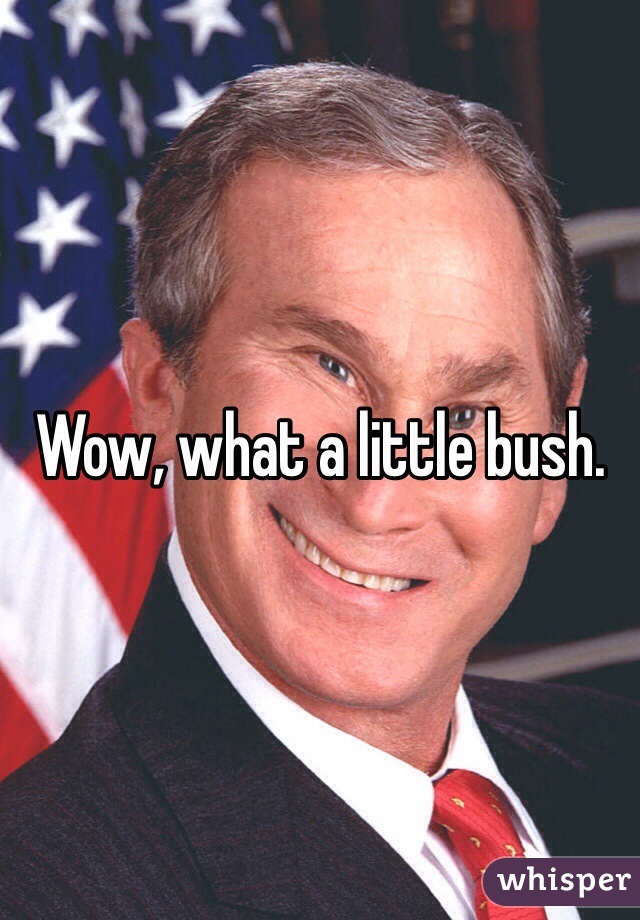 Wow, what a little bush.