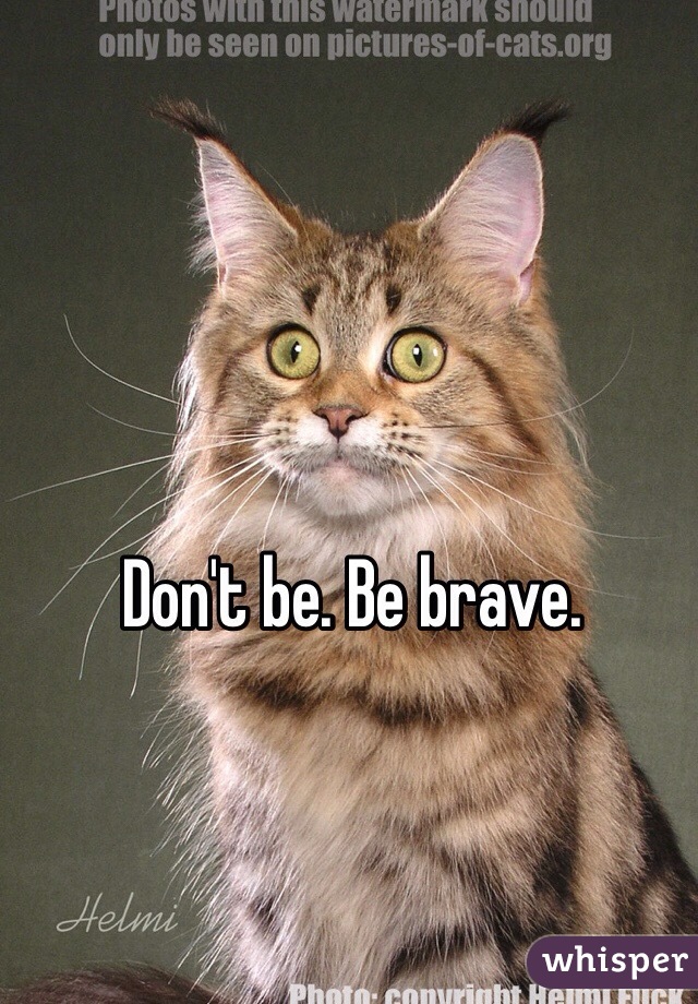 Don't be. Be brave.