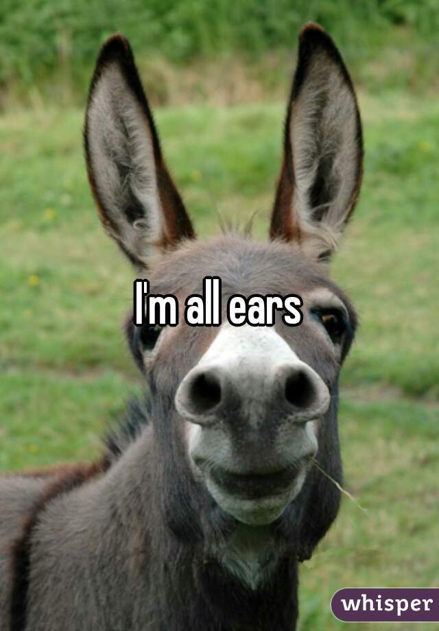 I'm all ears
