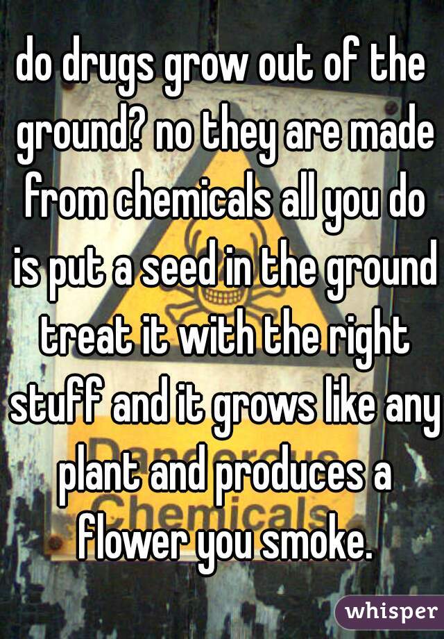do drugs grow out of the ground? no they are made from chemicals all you do is put a seed in the ground treat it with the right stuff and it grows like any plant and produces a flower you smoke.