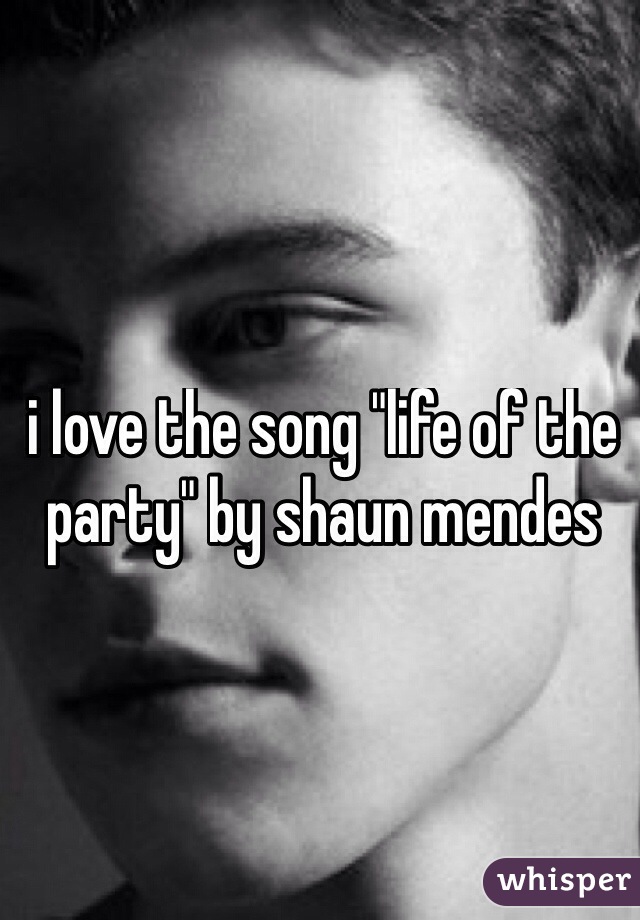 i love the song "life of the party" by shaun mendes
