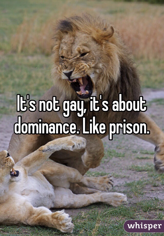 It's not gay, it's about dominance. Like prison. 