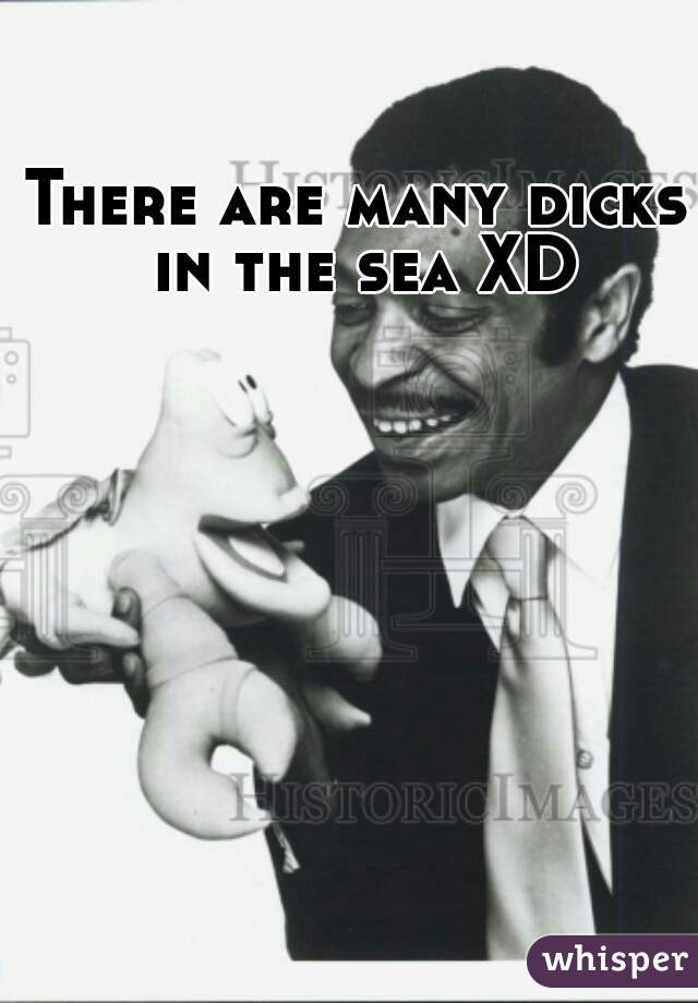 There are many dicks in the sea XD