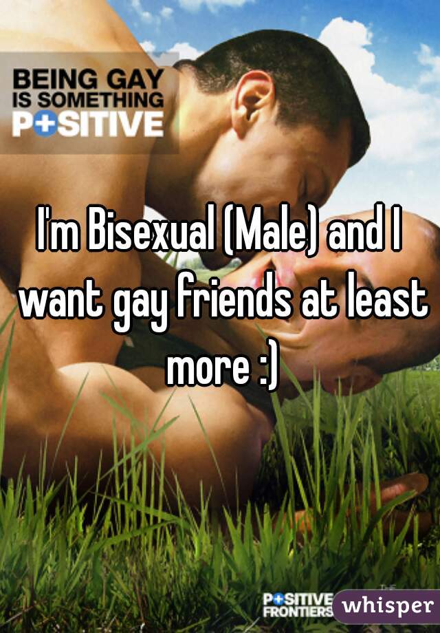 I'm Bisexual (Male) and I want gay friends at least more :)