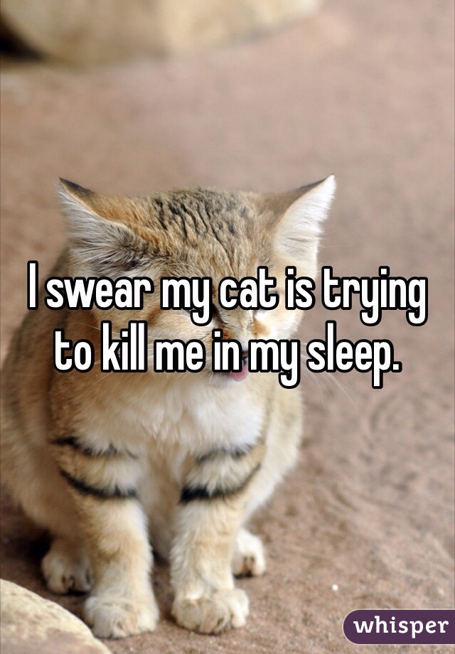 I swear my cat is trying to kill me in my sleep. 