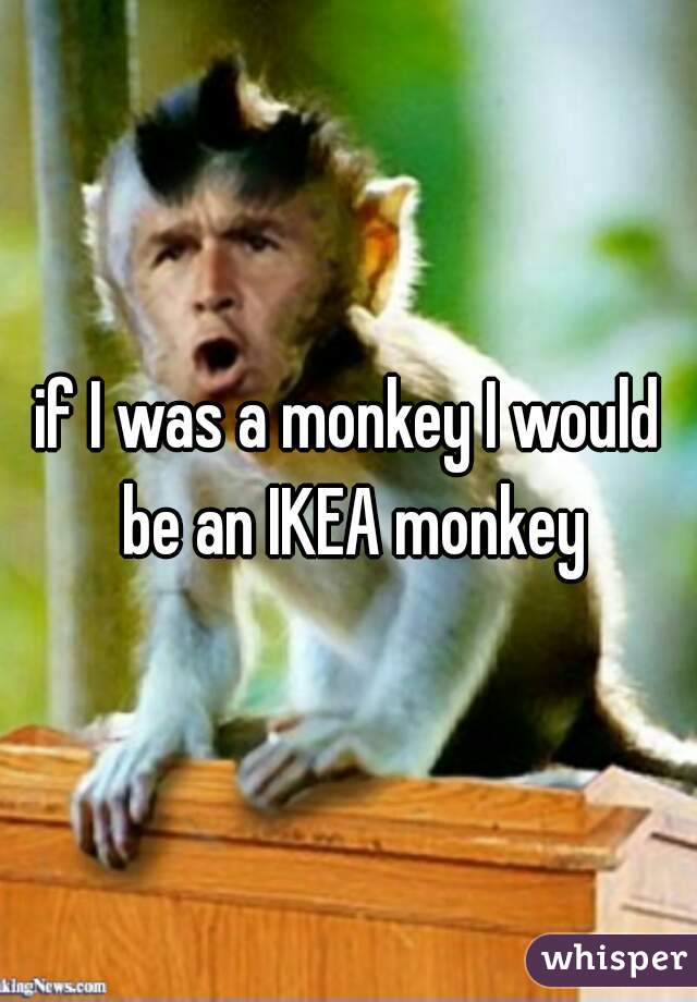 if I was a monkey I would be an IKEA monkey