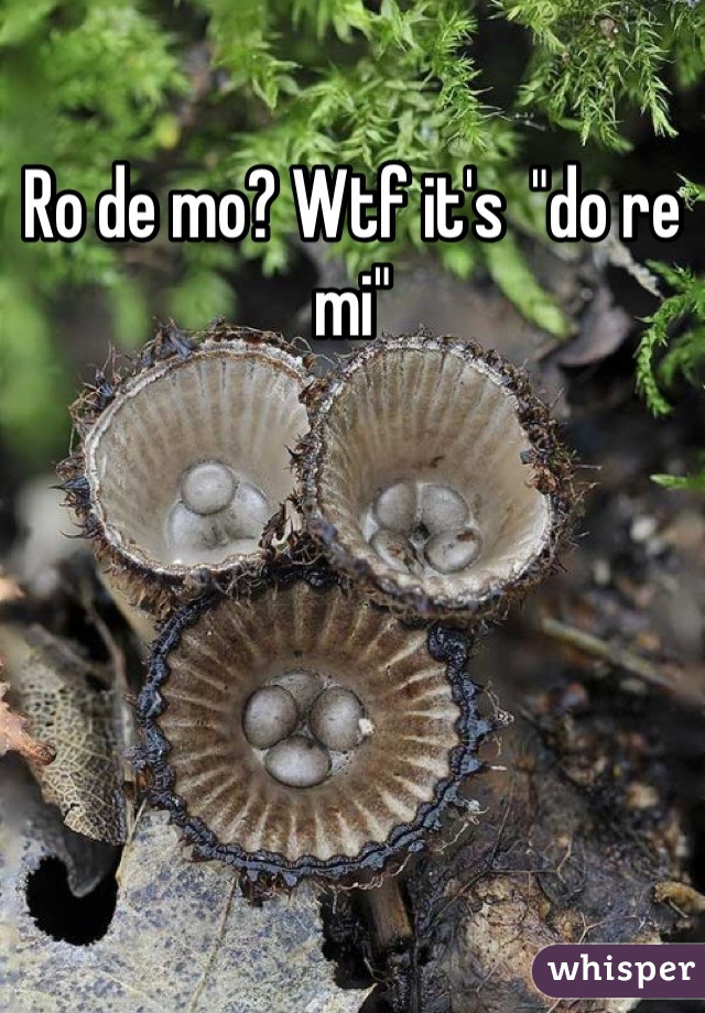 Ro de mo? Wtf it's  "do re mi"