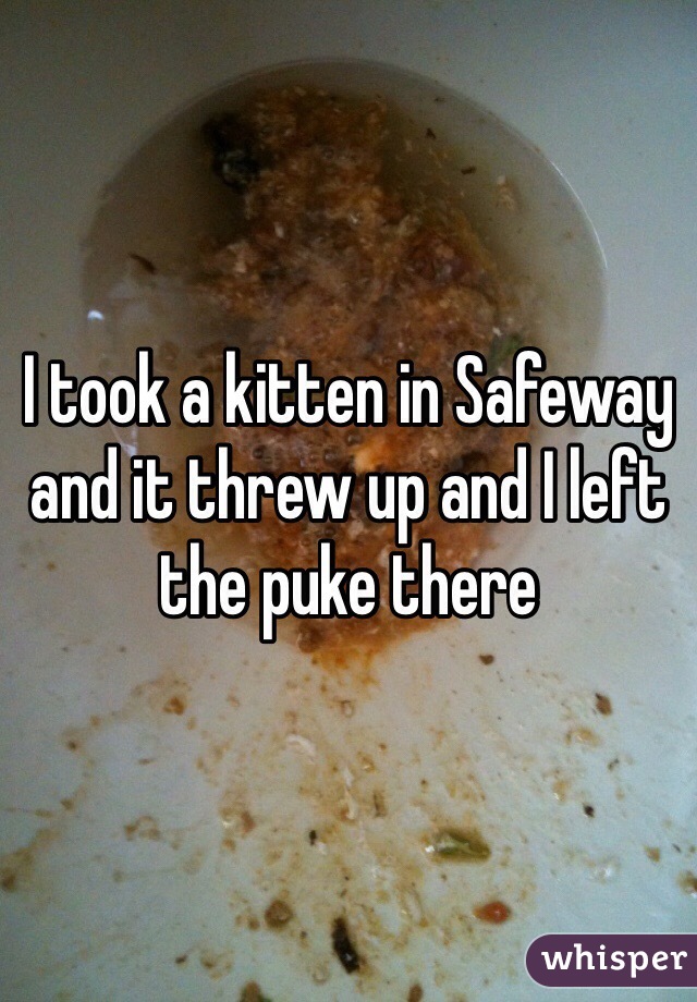 I took a kitten in Safeway and it threw up and I left the puke there