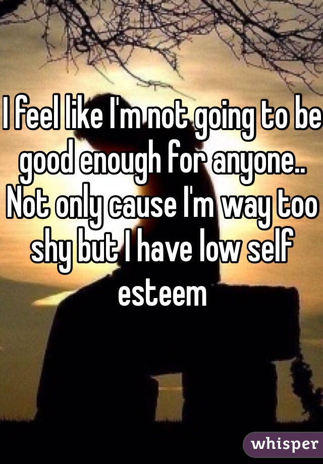 I feel like I'm not going to be good enough for anyone.. Not only cause I'm way too shy but I have low self esteem