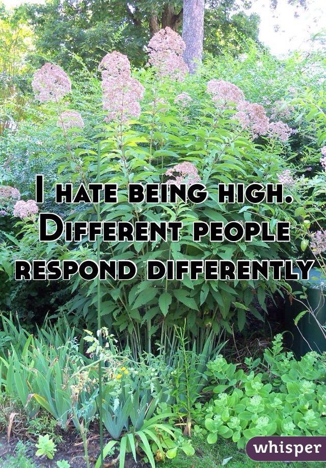 I hate being high. Different people respond differently 