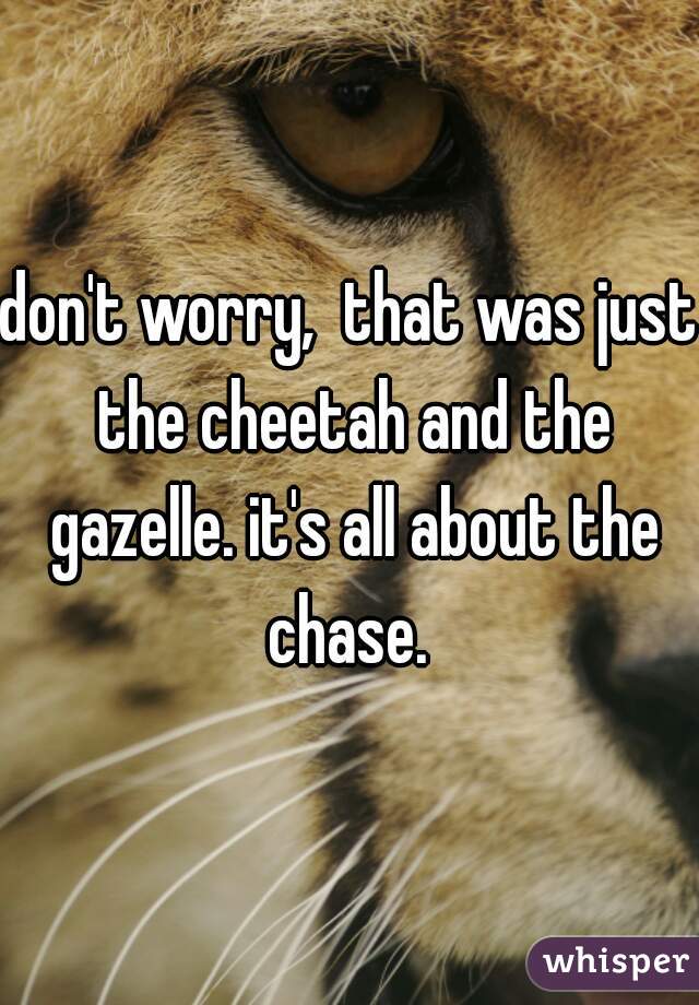 don't worry,  that was just the cheetah and the gazelle. it's all about the chase. 