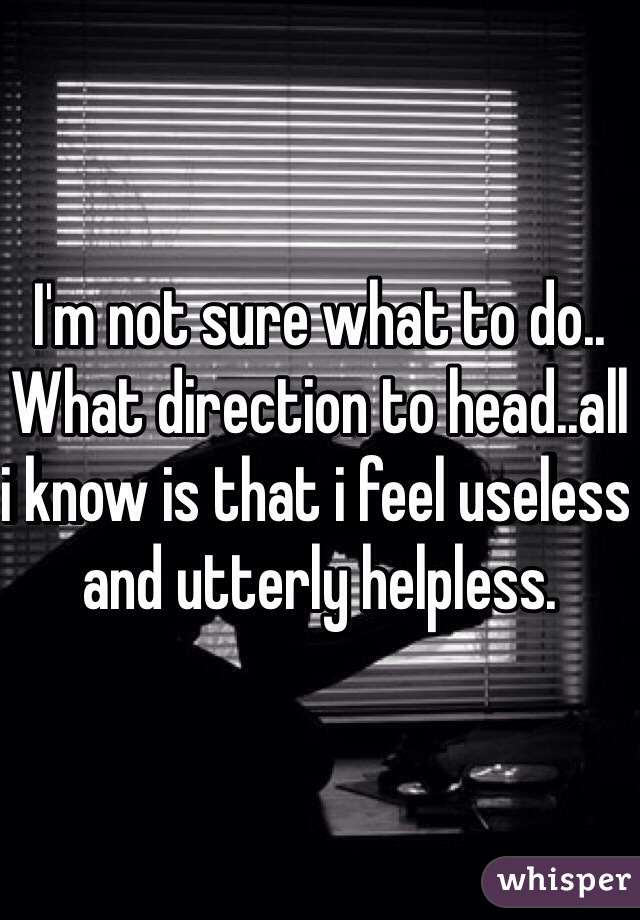 I'm not sure what to do.. What direction to head..all i know is that i feel useless and utterly helpless.