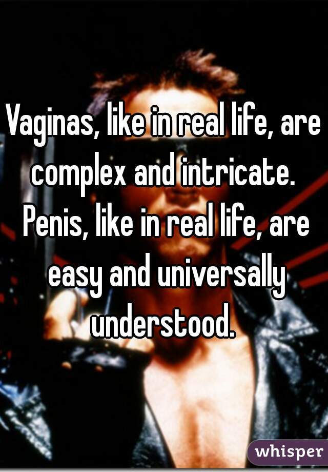 Vaginas, like in real life, are complex and intricate.  Penis, like in real life, are easy and universally understood. 