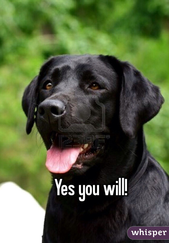 Yes you will!