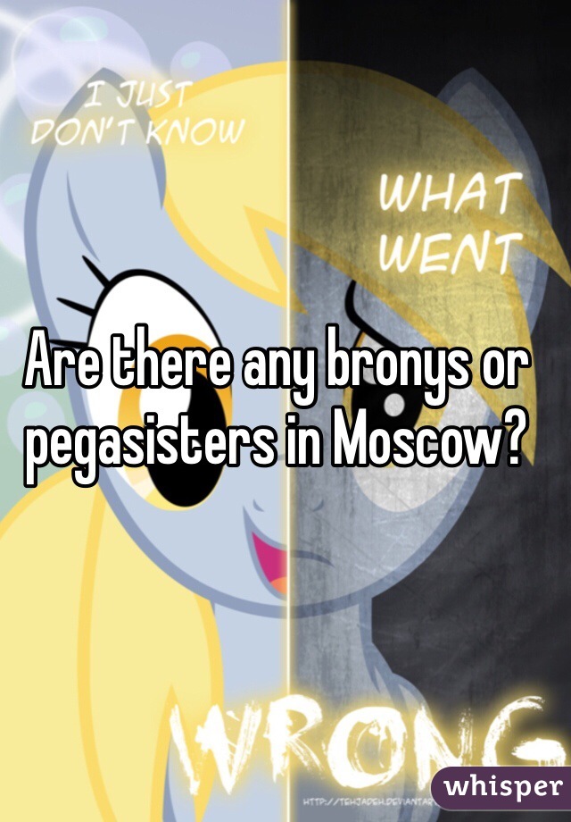 Are there any bronys or pegasisters in Moscow?