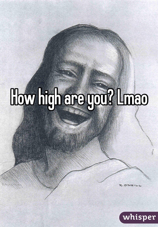 How high are you? Lmao