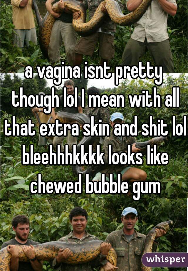 a vagina isnt pretty though lol I mean with all that extra skin and shit lol bleehhhkkkk looks like chewed bubble gum