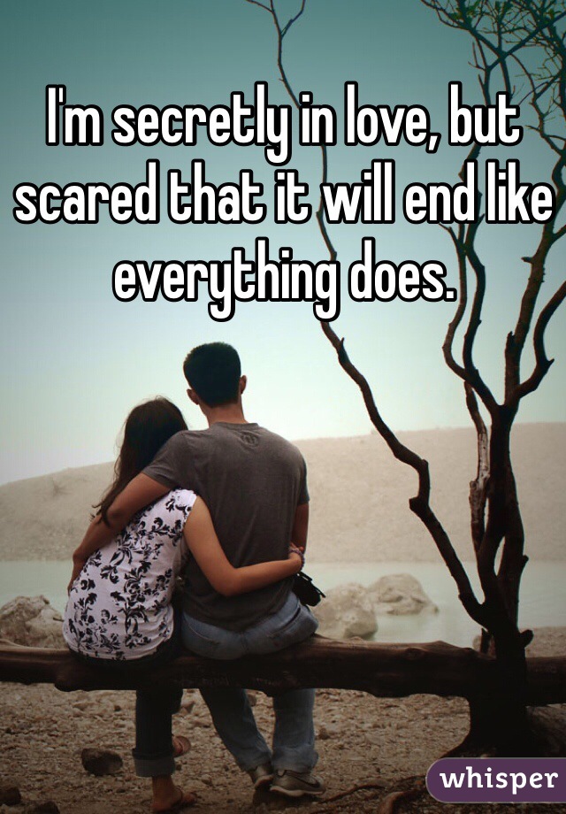 I'm secretly in love, but scared that it will end like everything does. 