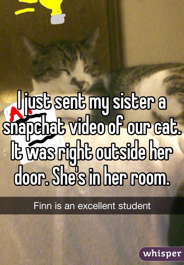 I just sent my sister a snapchat video of our cat. It was right outside her door. She's in her room.