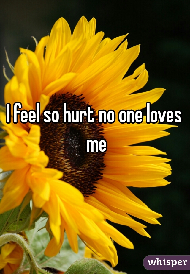 I feel so hurt no one loves me