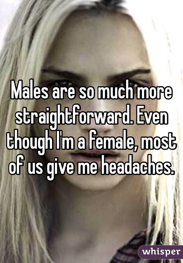 Males are so much more straightforward. Even though I'm a female, most of us give me headaches.