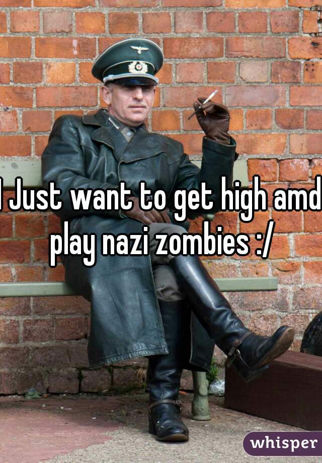I Just want to get high amd play nazi zombies :/