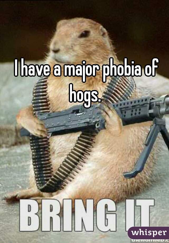I have a major phobia of hogs.  