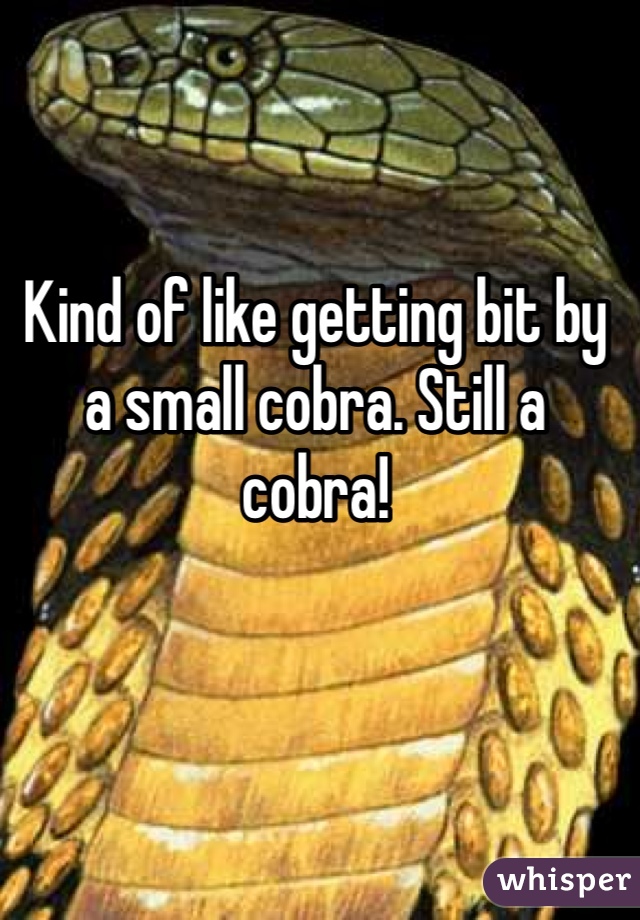Kind of like getting bit by a small cobra. Still a cobra!