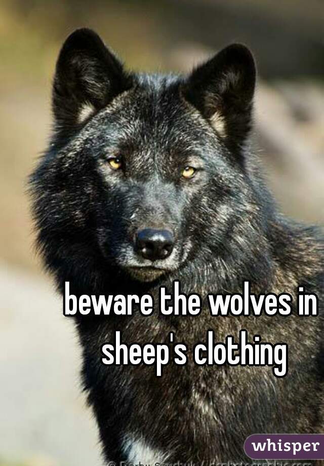 beware the wolves in sheep's clothing