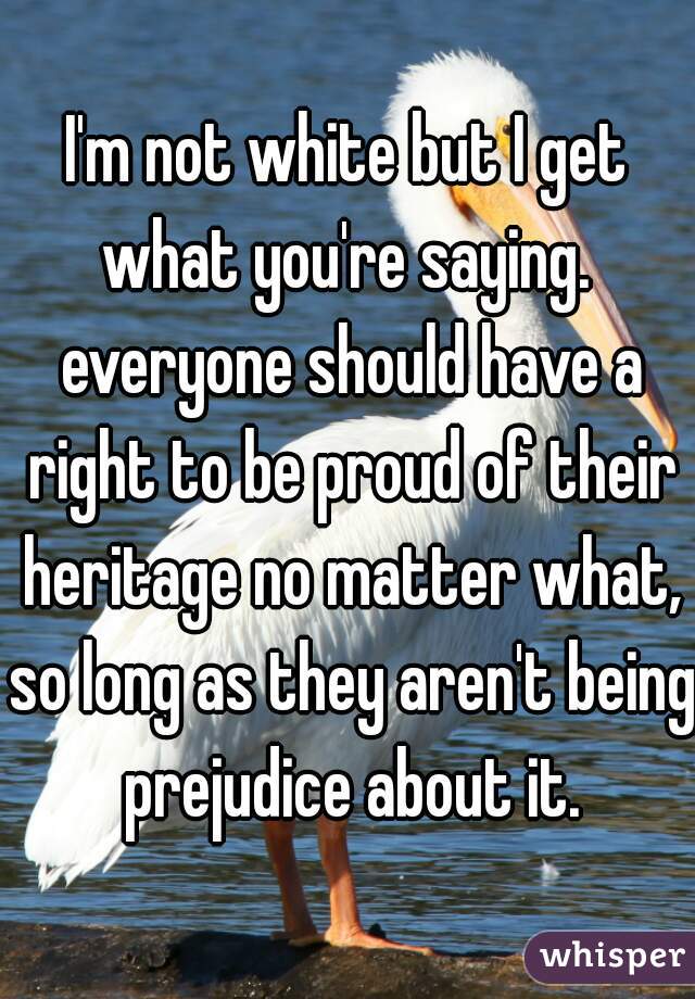 I'm not white but I get what you're saying.  everyone should have a right to be proud of their heritage no matter what, so long as they aren't being prejudice about it.