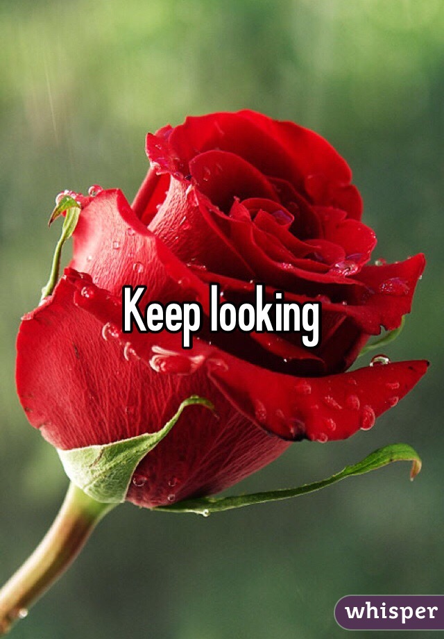 Keep looking