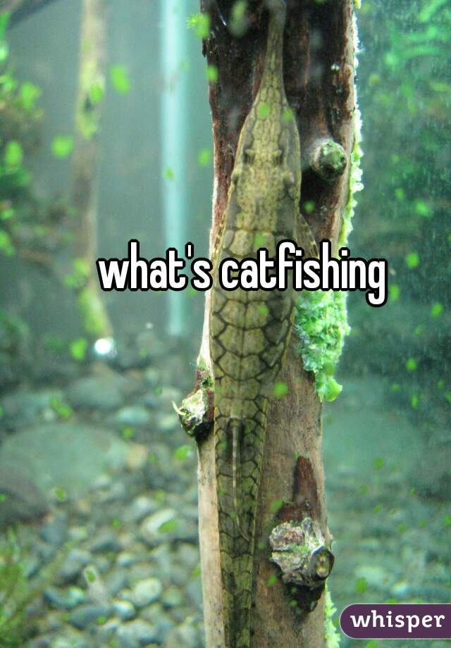 what's catfishing 