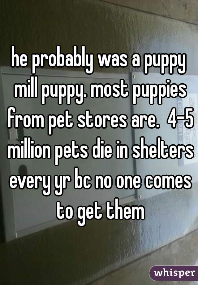 he probably was a puppy mill puppy. most puppies from pet stores are.  4-5 million pets die in shelters every yr bc no one comes to get them