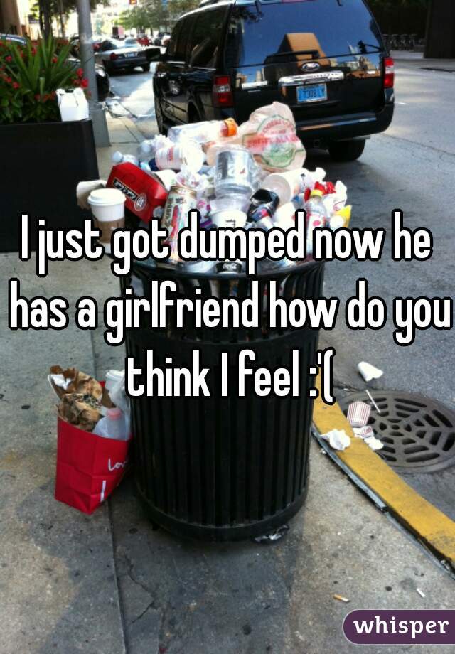 I just got dumped now he has a girlfriend how do you think I feel :'(