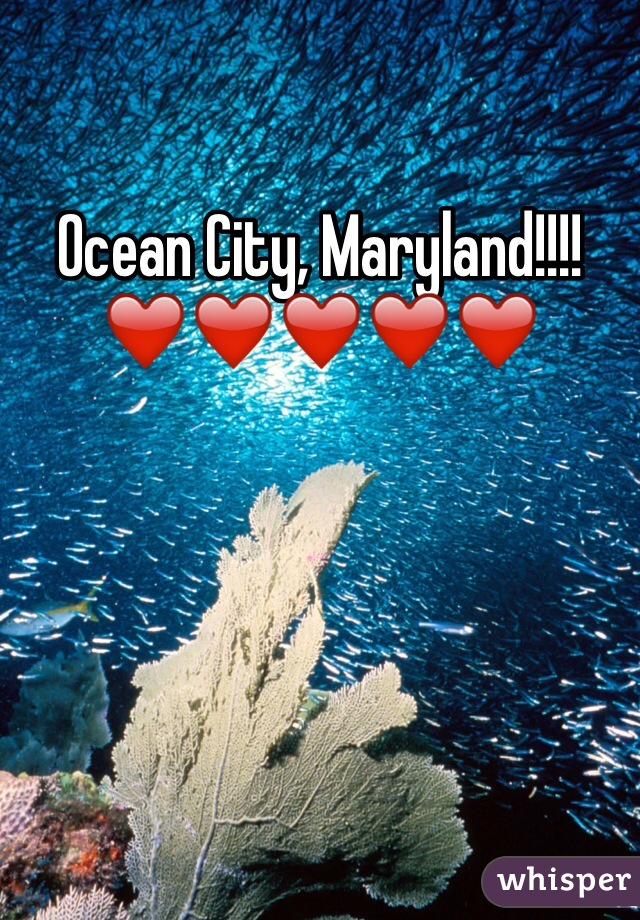 Ocean City, Maryland!!!!
❤️❤️❤️❤️❤️