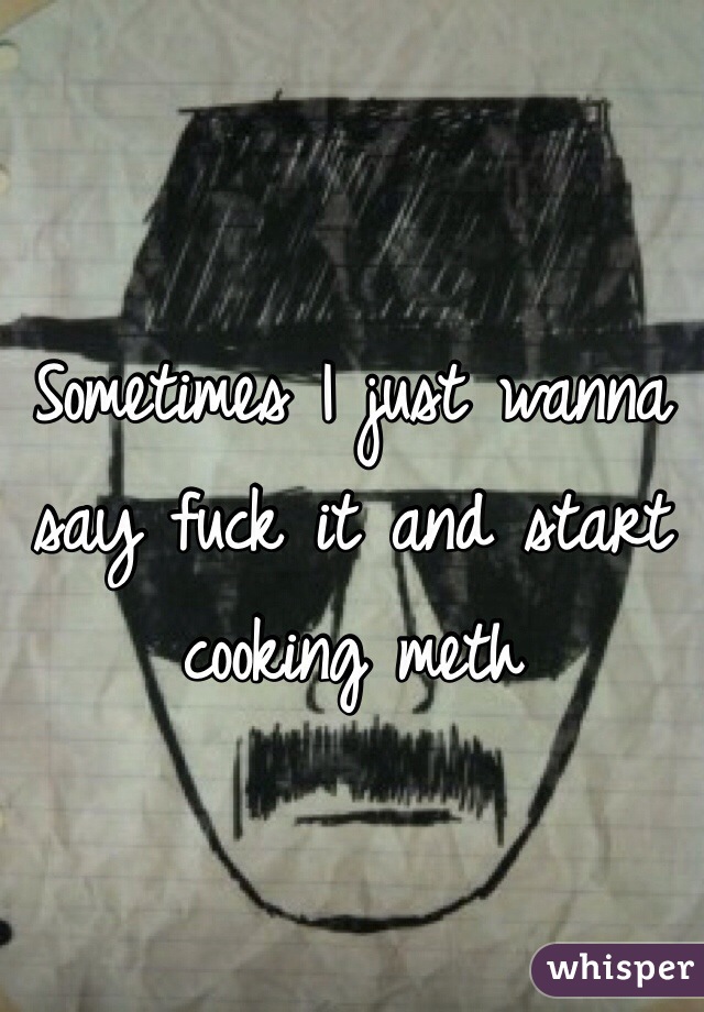 Sometimes I just wanna say fuck it and start cooking meth