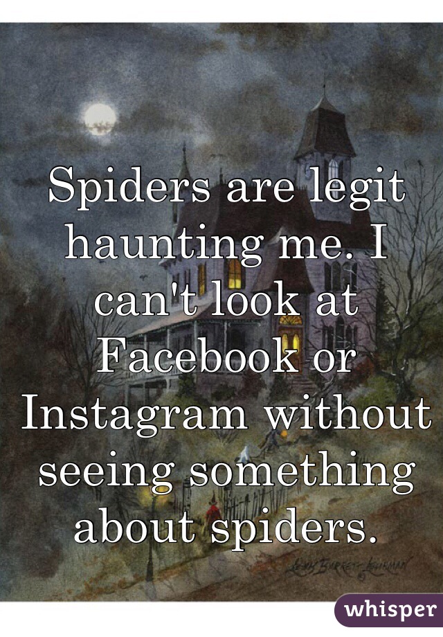 Spiders are legit haunting me. I can't look at Facebook or Instagram without seeing something about spiders. 