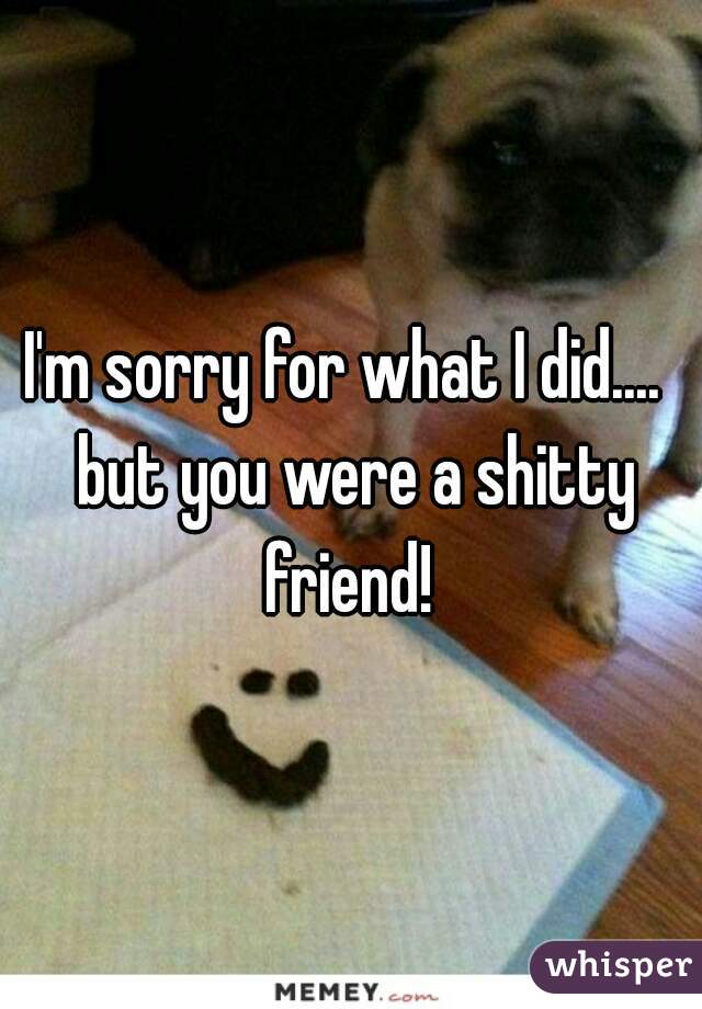 I'm sorry for what I did....  but you were a shitty friend! 